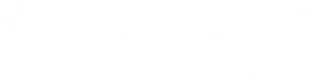magno-capital-logo